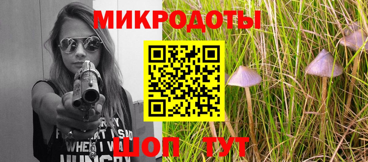 Псилоцибиновые грибы Cubensis  Вход с VPN  Лесной  Псилоцибиновые грибы Psilocybe 